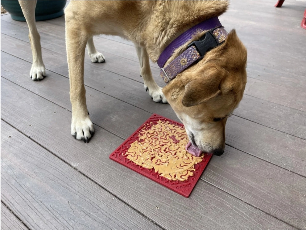 Happy Tails 