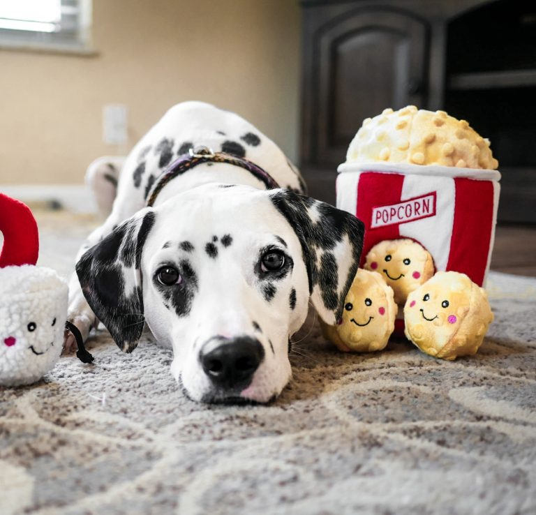 Happy Tails 