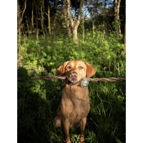 Happy Tails 
