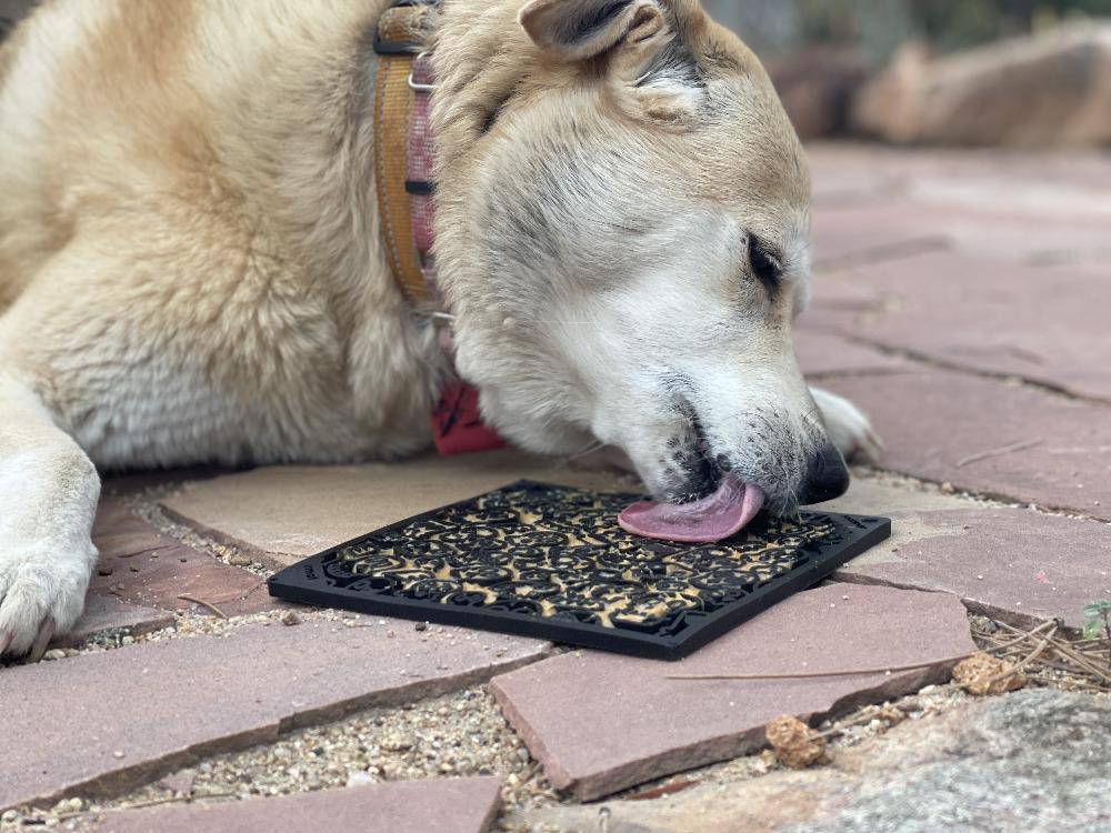 Happy Tails 